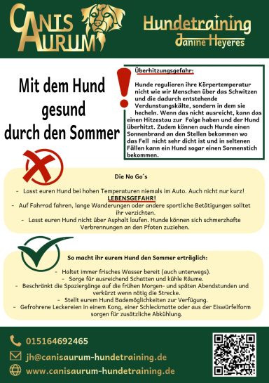 Mit dem Hund gesund durch den Sommer 